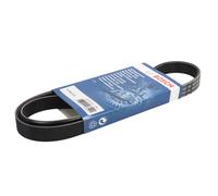BOSCH 1 987 947 813 Cinghia servizi