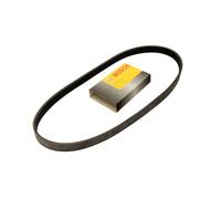 Cinghia Poly-V BOSCH 1 987 947 817