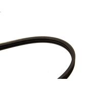 Cinghia poly-V BOSCH 1 987 947 880 per MG ZR 1.4 2001-2005