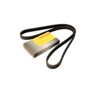 BOSCH 1 987 948 301 Cinghia servizi per FIAT PUNTO (188) Doblo Kombi (119, 223)