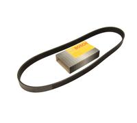 Cinghia Poly-V BOSCH 1 987 948 320