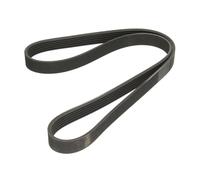 Cinghia Poly-V BOSCH 1 987 948 381
