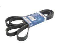 Cinghia Poly-V BOSCH 1 987 948 401 per TRANSIT Furgone (FA_ _) 2.4 2000-2003