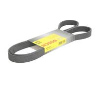 BOSCH Cinghia Poly-V compatibile con AUDI FORD RENAULT SEAT SKODA VW