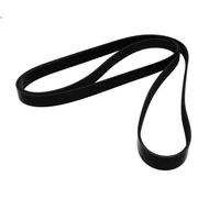 Cinghia poly-V BOSCH 1 987 948 441 per TRANSIT Furgone (FA_ _) 2.4 2006-