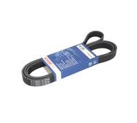 Cinghia Poly-V BOSCH 1 987 948 451 per JEEP WRANGLER II (TJ) 4.0 1996-2007