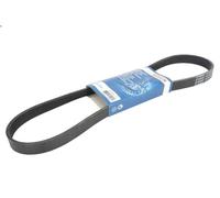 Cinghia poly-V BOSCH 1 987 948 486 per VW VENTO (1H2) 2 1991-1998