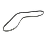 Cinghia Poly-V BOSCH 1 987 948 490