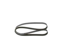 Cinghia Poly V Bosch 1987947399 per Iveco Mercedes Benz Mercedes Benz Cummins