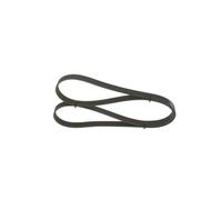 Cinghia Poly-V BOSCH 1987948431 per HONDA LAND ROVER RENAULT
