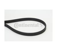 Cinghia Poly-v Cinghia Servizi Originale CONTITECH CON6DPK1817