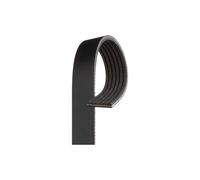 Cinghia Poly-v Cinghia Servizi Originale GATES GAT6PK1310