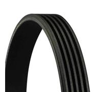 Cinghia Poly-V Citroen Xm 1989-1994 Xm Break 1991-1994 Smart Cabrio 2001-2004