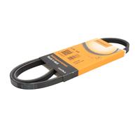 ContiTech Cinghia Poly-V 3PK935