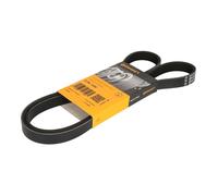 Cinghia Poly-V CONTITECH 5PK1330