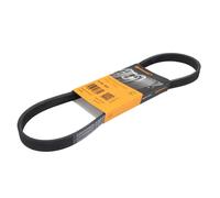 Cinghia Poly-V CONTINENTAL 5PK800