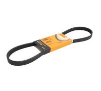 Cinghia Poly-V CONTINENTAL 5PK920