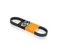 Conti 6PK1070 Cinghia Scanalata per Audi A3 Citroen Peugeot Seat Ibiza Skoda VW