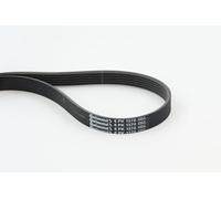 CONTITECH 6PK1370 Cinghia servizi