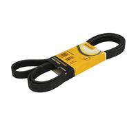 CONTITECH 6PK2145 Cinghia Poly-V