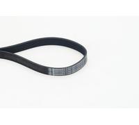 ContiTech Cinghia Poly-V 7PK1051 ELAST