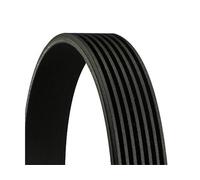 Cinghia Poly-V CONTINENTAL 7PK1516
