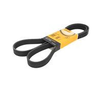 Cinghia Poly-V CONTINENTAL 7PK1647