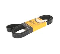 CONTITECH 7PK2682 Cinghia servizi