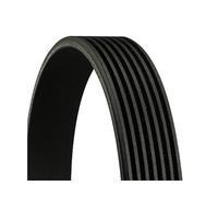 CONTITECH 7PK920 Cinghia servizi per TOYOTA Crown Limousine (S1) 920mm
