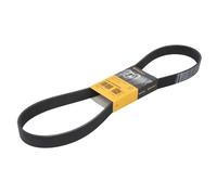 CONTITECH 8PK1162 EXTRA Cinghia servizi