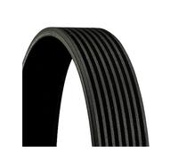 ContiTech Cinghia servizi 8PK1376 Poly-V multirighe per MERCEDES-BENZ MAN