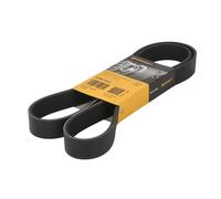 Cinghia Poly-V CONTINENTAL 8PK1412