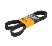 CONTINENTAL CTAM 8PK1515 Cinghia Poly-V per MAN,RENAULT TRUCKS,SCANIA