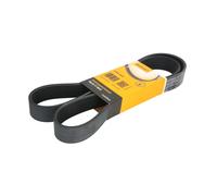 ContiTech Cinghia servizi 9PK1414 Poly-V multirighe