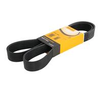Cinghia Poly-V CONTINENTAL 9PK1449