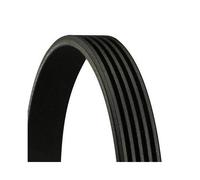 Cinghia Poly V Continental Ctam 5PK790 per Ford Toyota