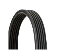 Cinghia Poly V Continental Ctam 6DPK1697 per Bmw Per Veicoli Con Climatizzatore