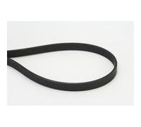 Cinghia Poly V Continental Ctam 6DPK1817 per Bmw Per Veicoli Con Climatizzatore