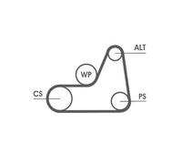 Contitech Cinghia Scanalata Micro-V 6 Pk 1042 Elast Cinghia 6Pk1042Elast