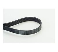 Cinghia Poly V Continental Ctam 6PK1157EXTRA per Bmw
