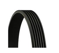 Cinghia Poly V Continental Ctam 6PK1374 per Alfa Romeo Bmw Fiat Lancia Mini
