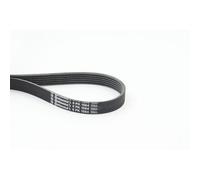 ContiTech Cinghia servizi 6PK1564 – trapezoidale multirighe per Citroën/Peugeot