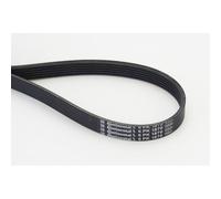 Contitech 6 PK 1870 Cinghie Trapezoidale