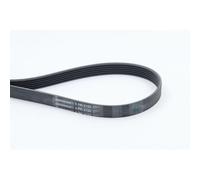 Cinghia Poly V Continental Ctam 6PK2155 per Daimler Mercedes Benz Mercedes Benz