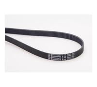 CONTITECH 6PK2260 Cinghia Poly-V