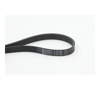 Cinghia Poly V Continental Ctam 6PK995 per Audi Citroën Fiat Ford Honda Lada VW