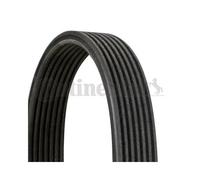 Cinghia Poly V Continental Ctam 7DPK1360 per Ford Mercedes Benz VW