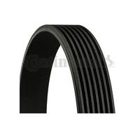 Cinghia Poly-V CONTINENTAL 7PK1035