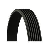 Cinghia Poly V Continental Ctam 7PK1040 per Bmw Nissan