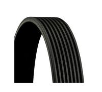 CONTITECH 8PK1020 Cinghia servizi